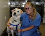 Photo de la technicienne Megan Fontaine avec Faith, une Labrador Retriever à qui les vétérinaires ont dû enlever un œil la semaine dernière. La facture dépasse les 1 000 $ et n'est pas encore finale.